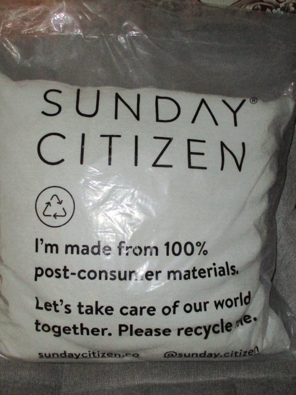 Sunday citizen NEW Snug Floor pillow Cloud Gray 30" x 30"